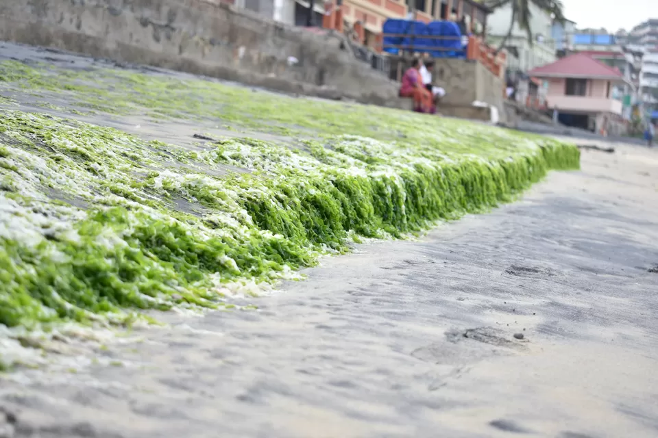 Photo of Kovalam, Kerala, India by Ritesh Mohan