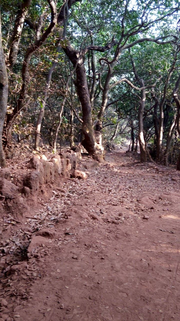 Photo of Matheran, Maharashtra, India by Dhivya Dilipkumar