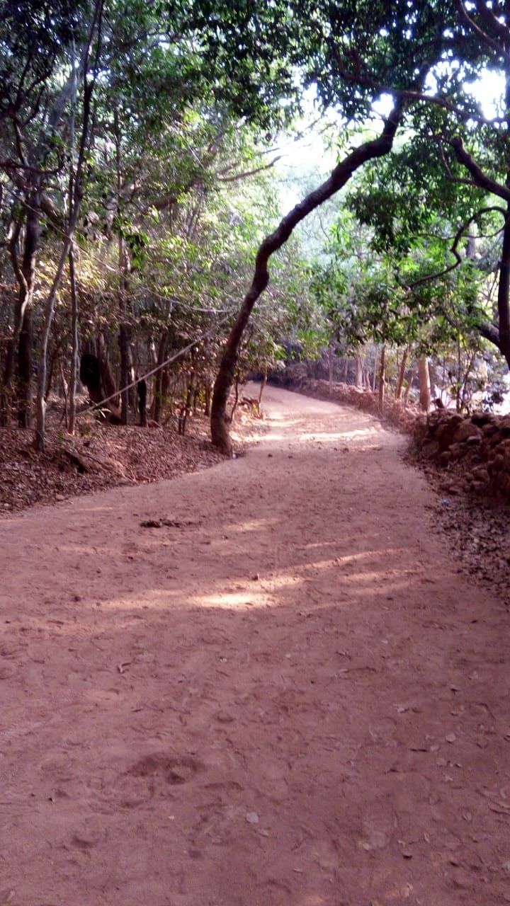 Photo of Matheran, Maharashtra, India by Dhivya Dilipkumar