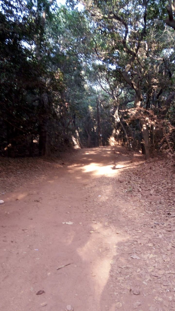 Photo of Matheran, Maharashtra, India by Dhivya Dilipkumar