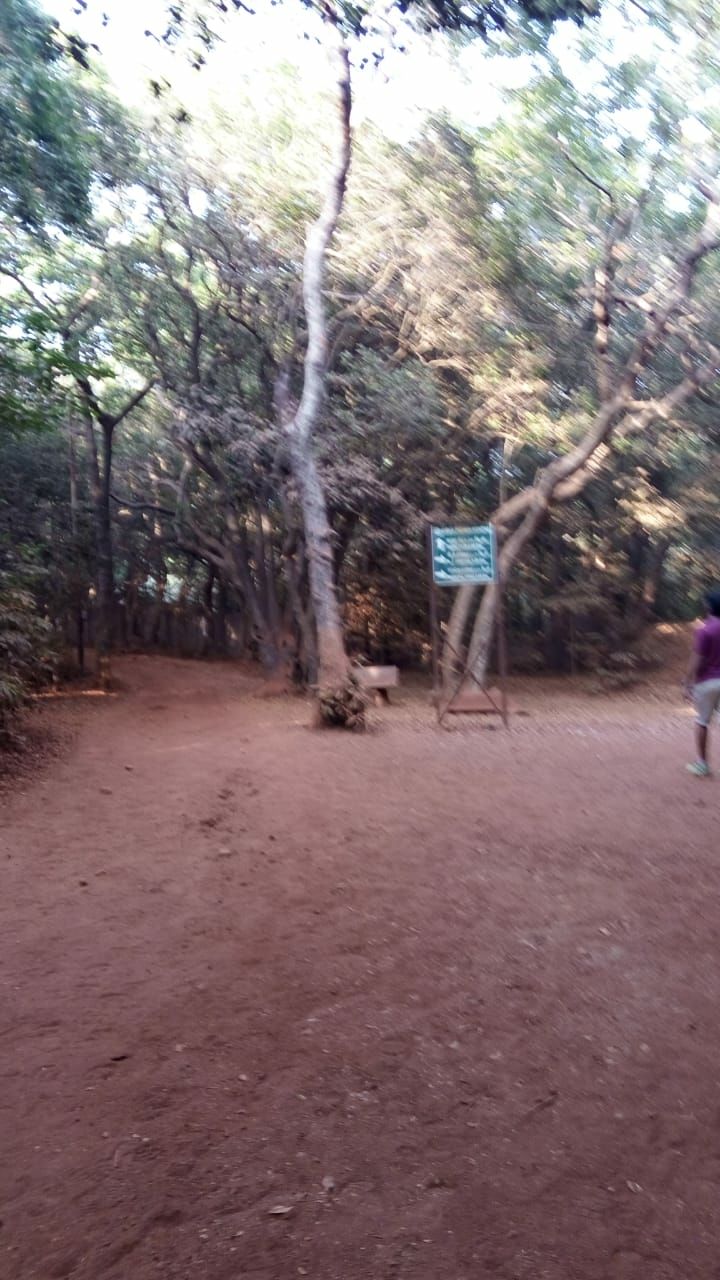 Photo of Matheran, Maharashtra, India by Dhivya Dilipkumar