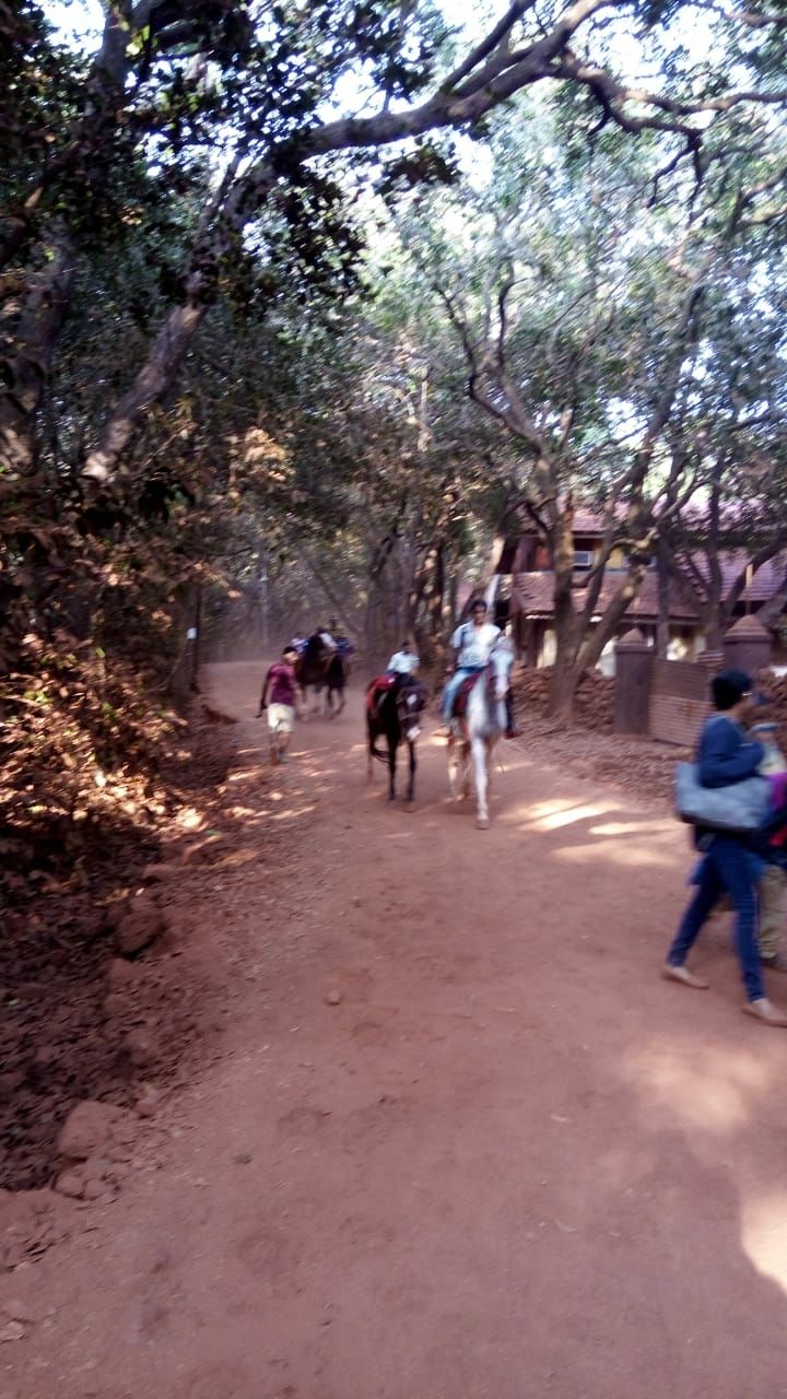 Photo of Matheran, Maharashtra, India by Dhivya Dilipkumar