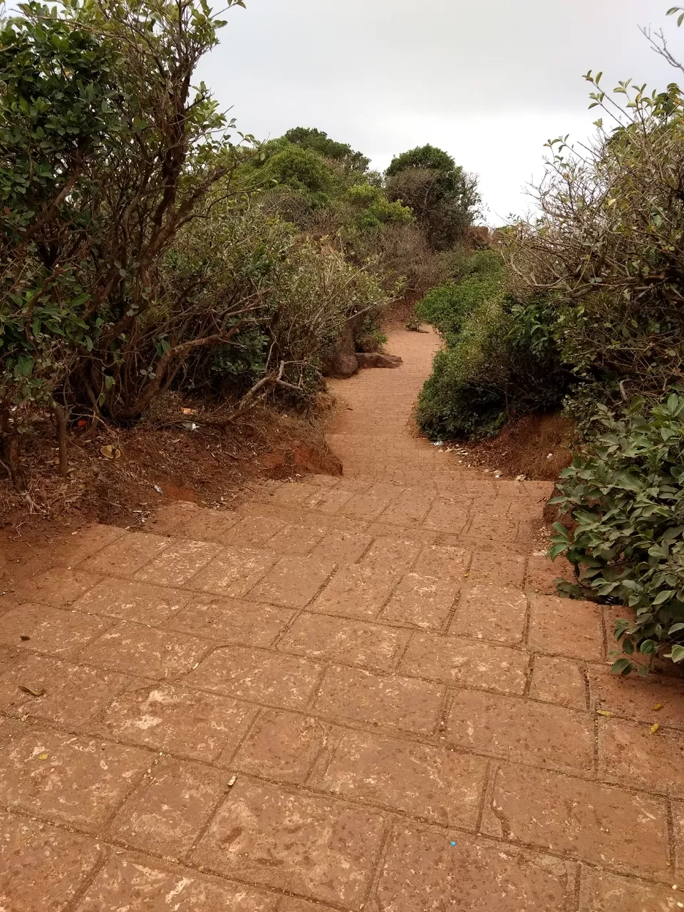 Photo of Mahabaleshwar, Maharashtra, India by Dhivya Dilipkumar