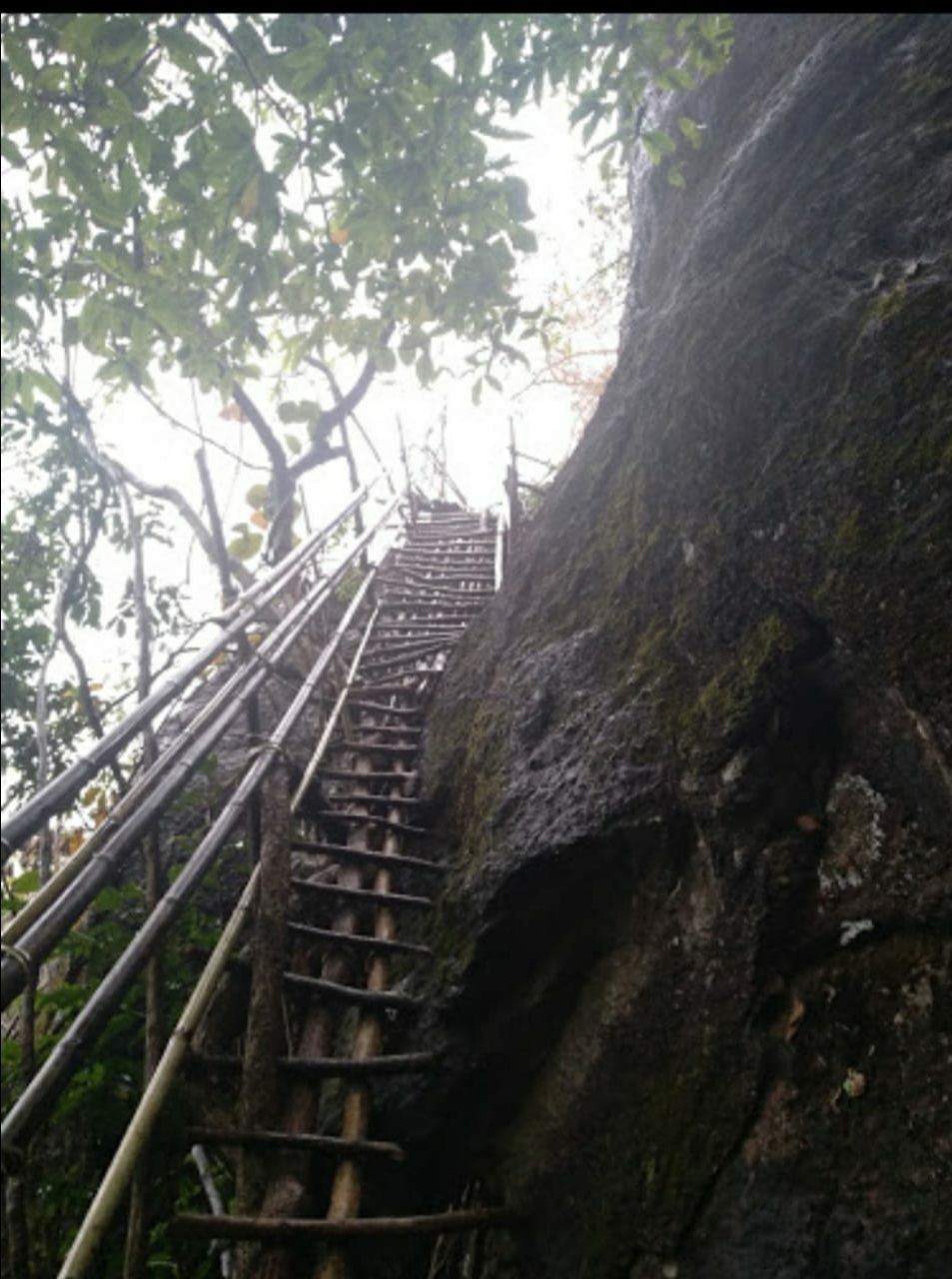 Photo of The Mawrynkhang trek/ Bamboo trail trek, Wahkhen, Meghalaya by Dhivya Dilipkumar