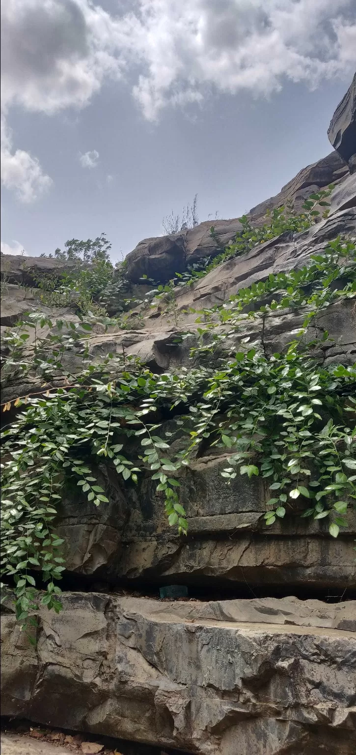 Photo of Belum Caves, Opposite Indian Oil Petrol Pump, Kolimigundla, Andhra Pradesh, India by Dhivya Dilipkumar