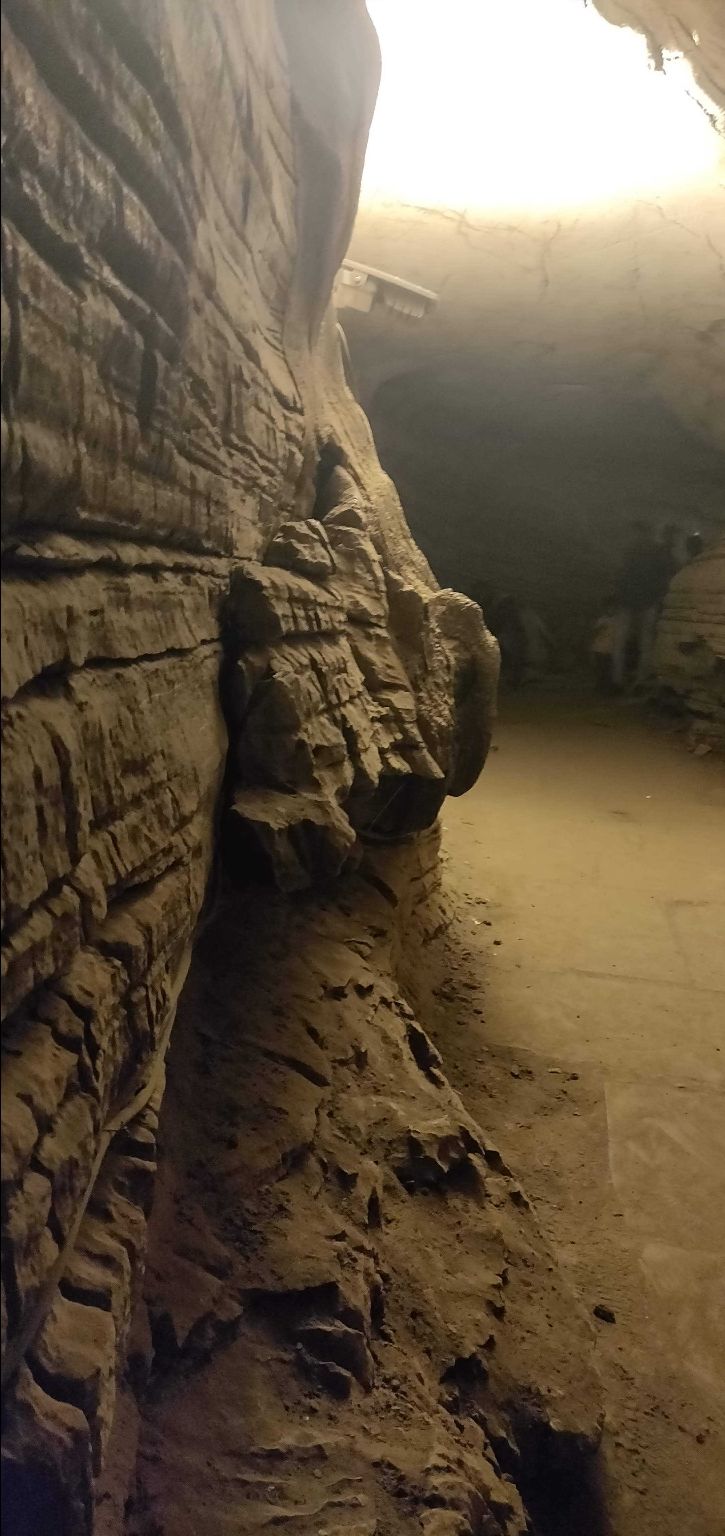 Photo of Belum Caves, Opposite Indian Oil Petrol Pump, Kolimigundla, Andhra Pradesh, India by Dhivya Dilipkumar