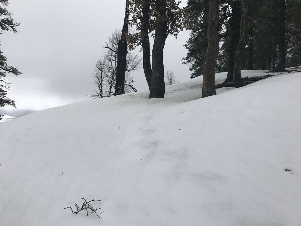 Photo of Kedarkantha Trek by Shantanu Srivastava