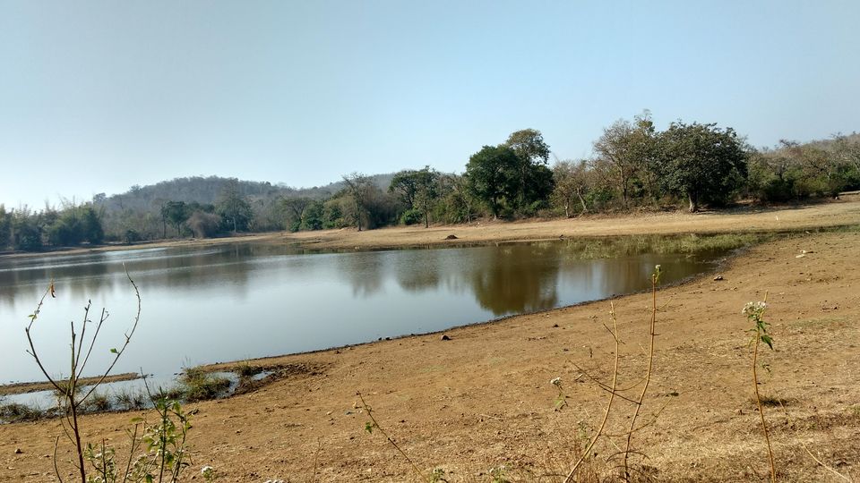 Photo of Dandeli, Karnataka, India by Chirag S K