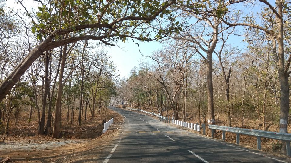 Photo of Dandeli, Karnataka, India by Chirag S K