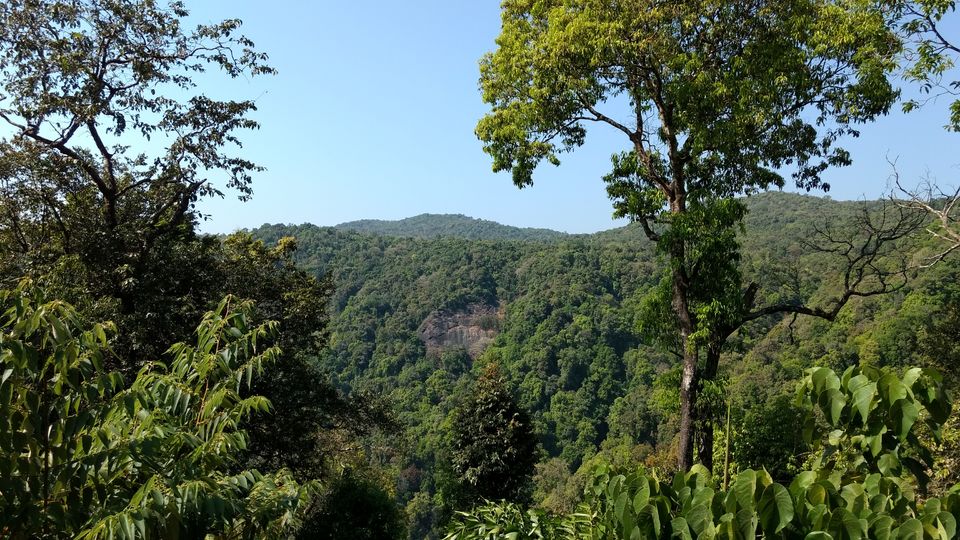 Photo of Dandeli & Karwar - A traveler's delight by Chirag S K