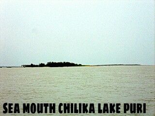 Photo of Chilika Lake, Odisha, India by Chetali Dh
