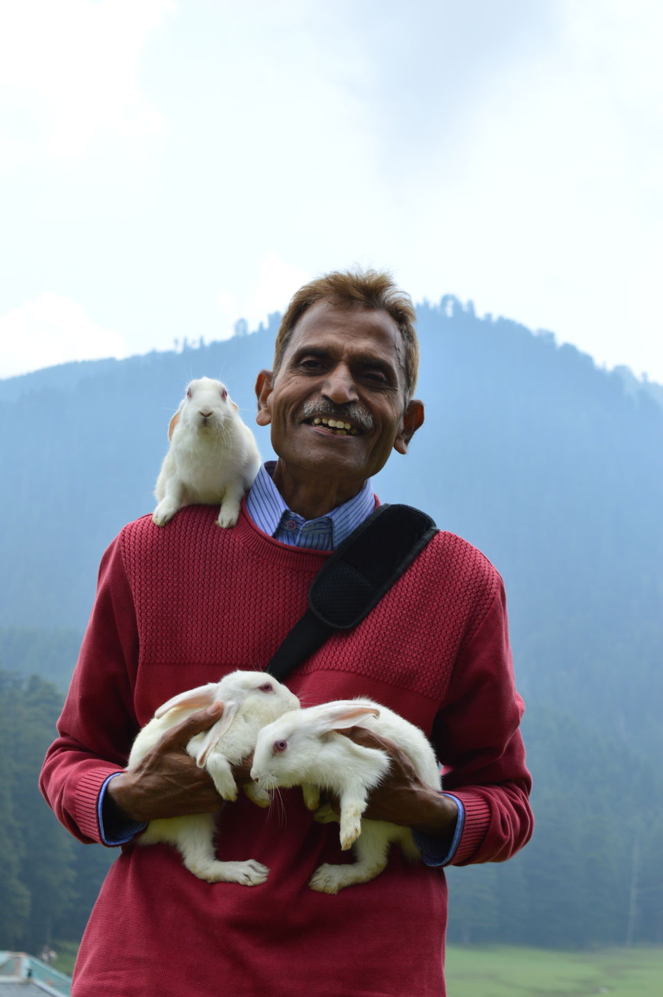 Photo of One such "Pictorial Beauty" beneath the sky-Khajjiar-Himanchal Pradesh by Chetali Dh