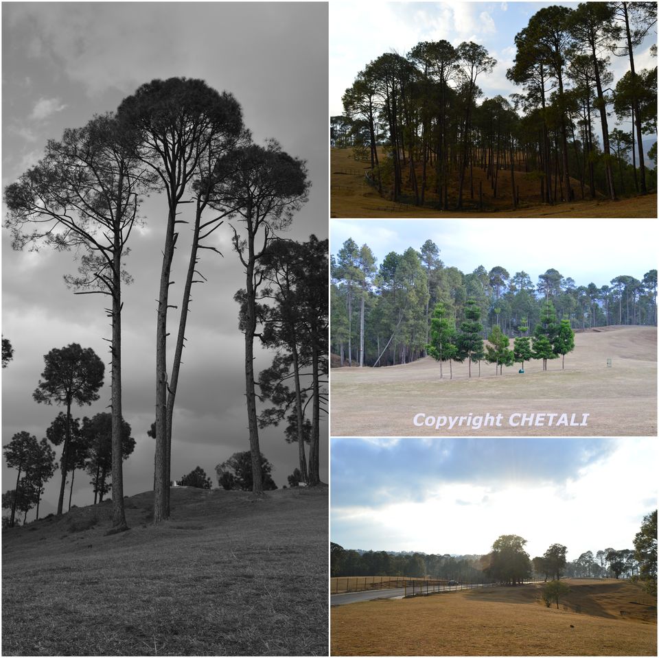 Photo of Kumaon "The Dev Bhoomi", one such amazing place Ranikhet!!! by Chetali Dh