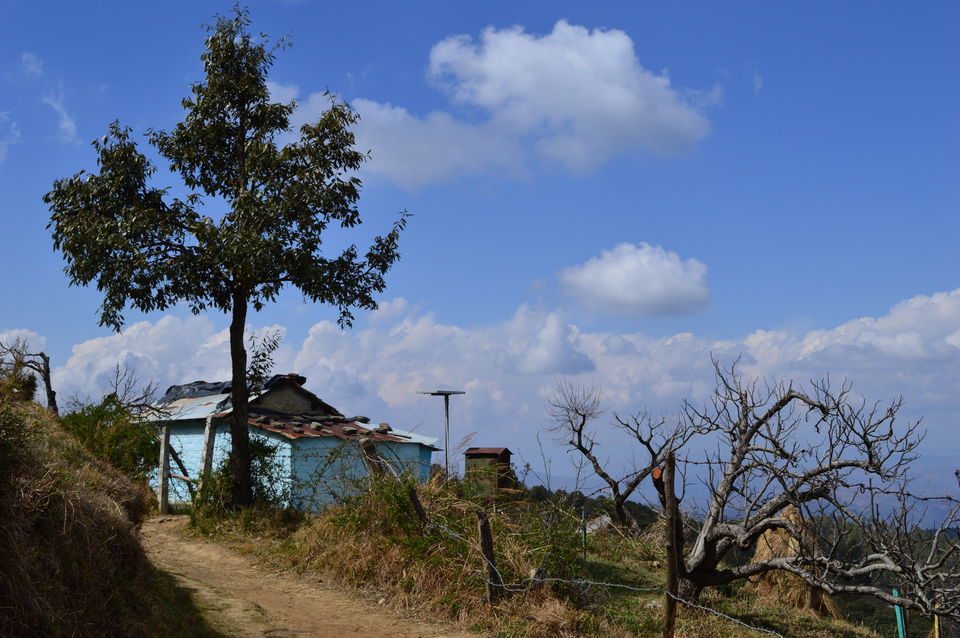 Photo of Kumaon "The Dev Bhoomi", one such amazing place Ranikhet!!! 1/1 by Chetali Dh