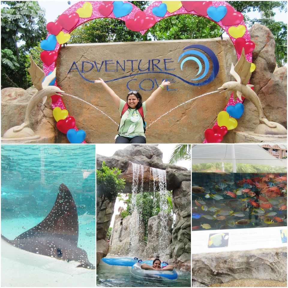 Photo of Adventure Cove Waterpark Singapore by Chetali Dh