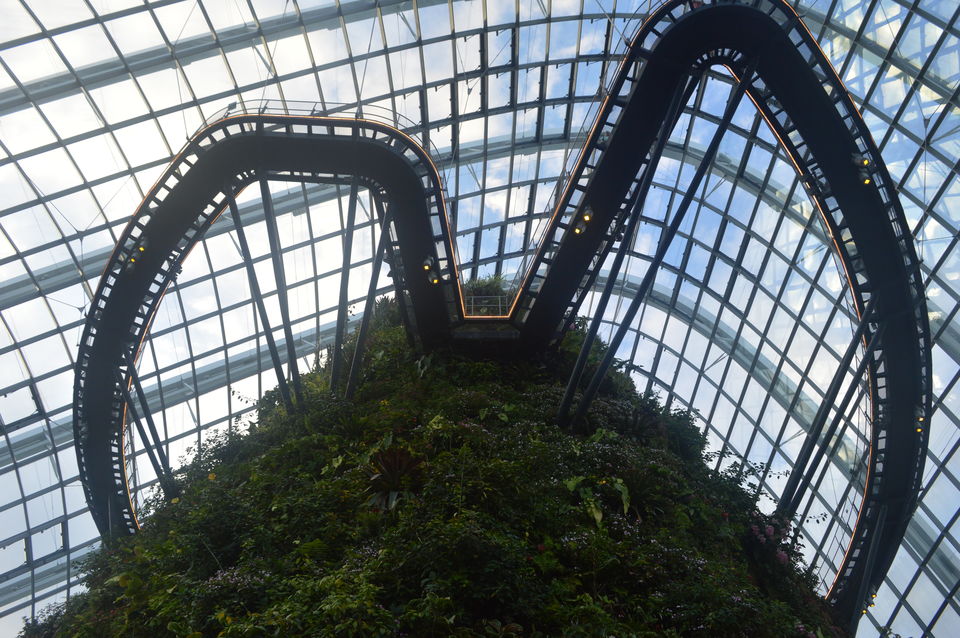 Photo of Fantasy-Land!!! Yes it exist....."Garden by the Bay"-Singapore by Chetali Dh