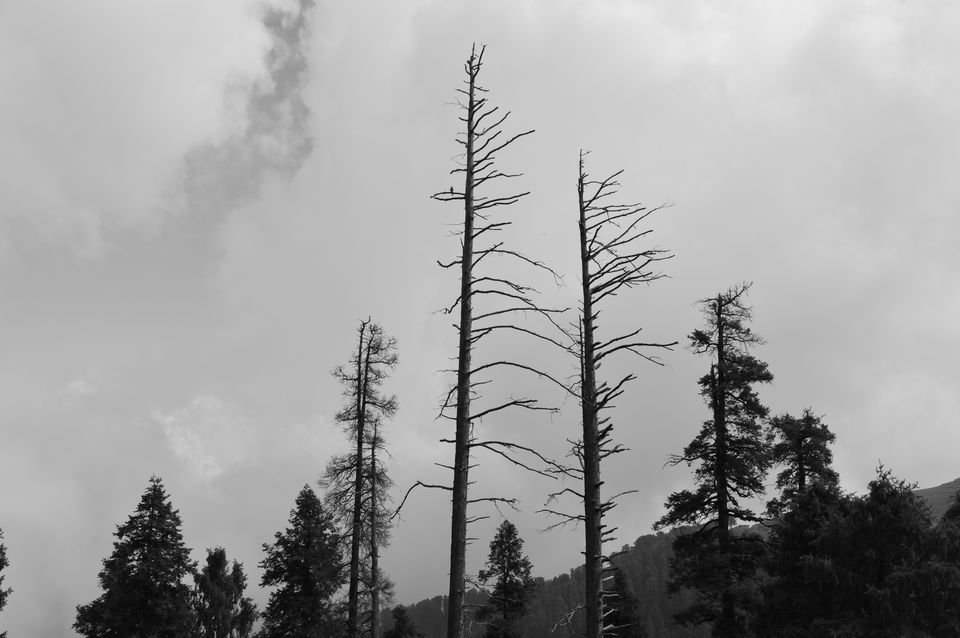 Photo of Highest Peak in Dalhousie....Dainkund Peak....Pohlani Mata Devi by Chetali Dh