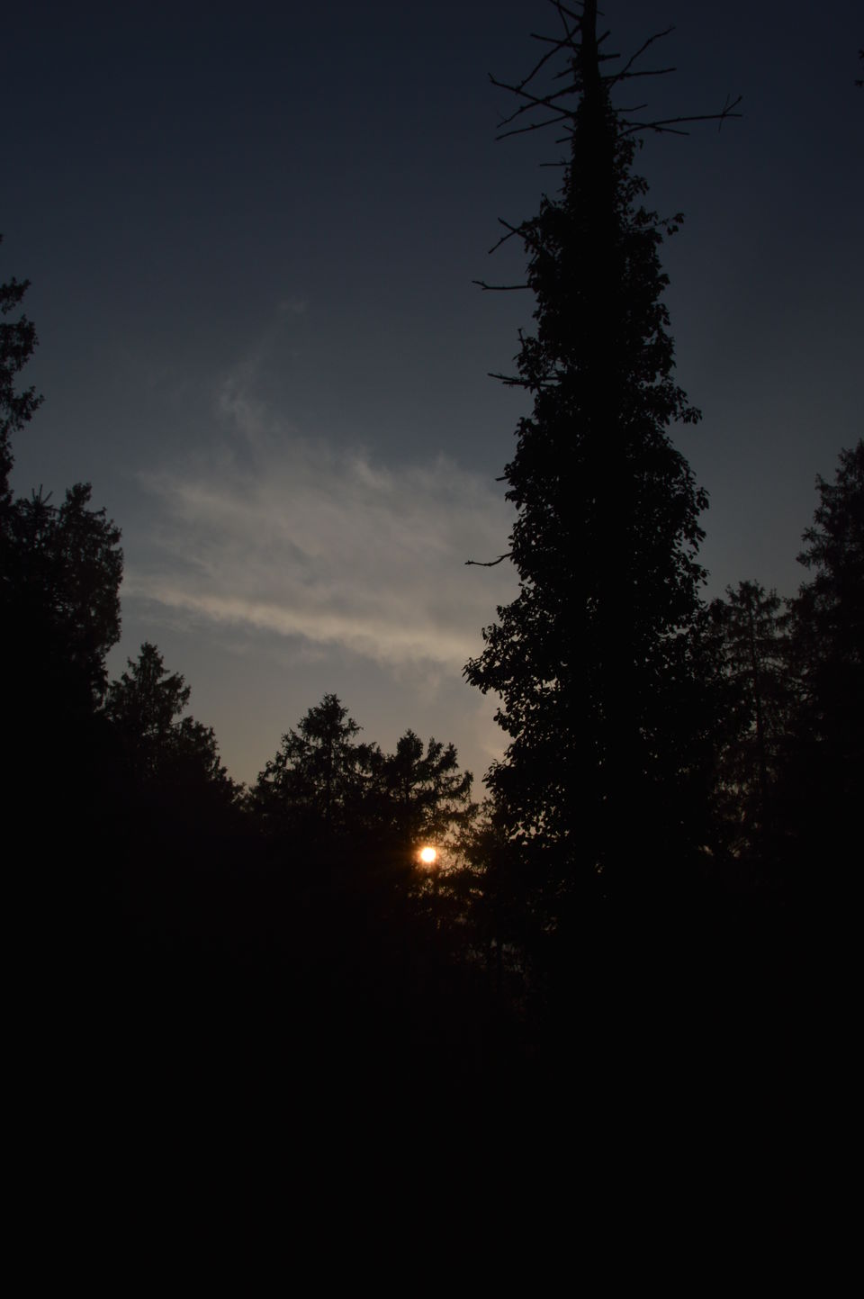 Photo of The Gems of Himachal -Dalhousie-Chamba-Khajjiar 3/3 by Chetali Dh