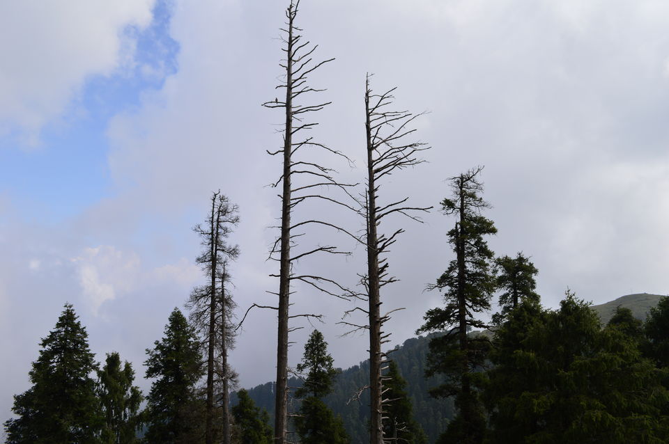 Photo of Dainkund Peak, Rakhed, Himachal Pradesh, India by Chetali Dh