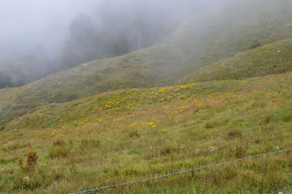 Photo of The Gems of Himachal -Dalhousie-Chamba-Khajjiar by Chetali Dh