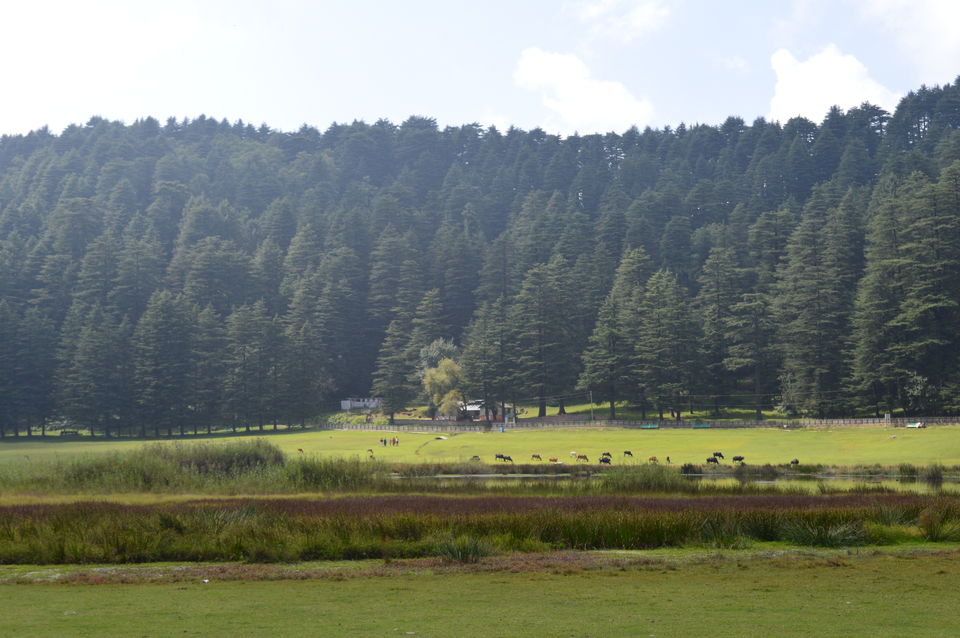 Photo of The Gems of Himachal -Dalhousie-Chamba-Khajjiar by Chetali Dh