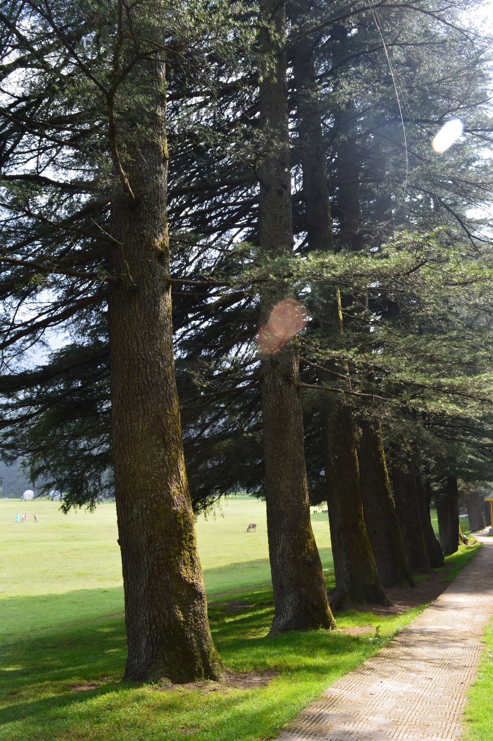 Photo of The Gems of Himachal -Dalhousie-Chamba-Khajjiar by Chetali Dh