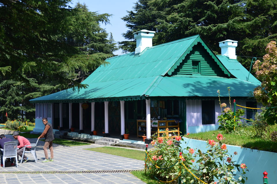Photo of Kalatop Forest, Kalatope R.F, Himachal Pradesh, India by Chetali Dh
