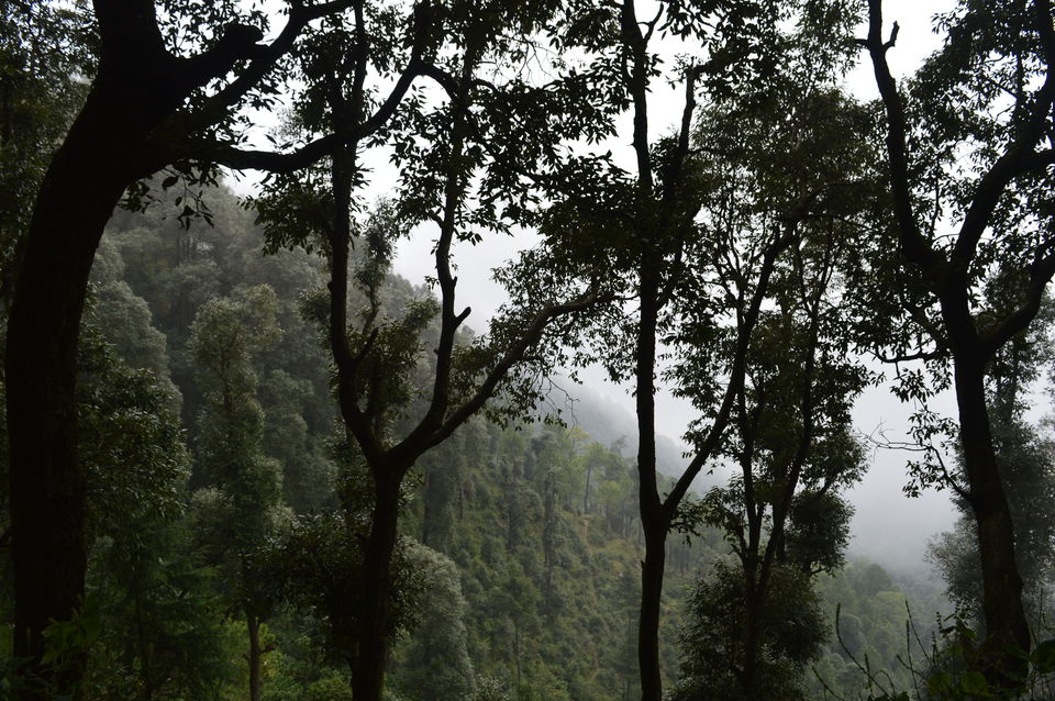 Photo of The Gems of Himachal -Dalhousie-Chamba-Khajjiar by Chetali Dh
