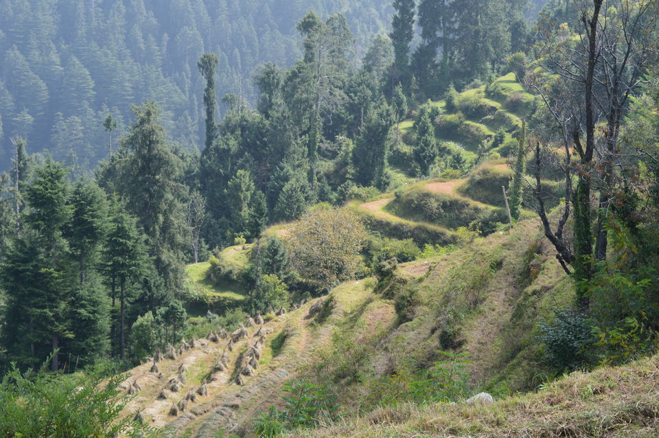 Photo of Dalhousie, Himachal Pradesh, India by Chetali Dh