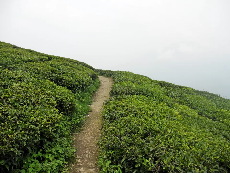Photo of Siddhesvara Dham Road, Namchi, Sikkim, India by Chetali Dh