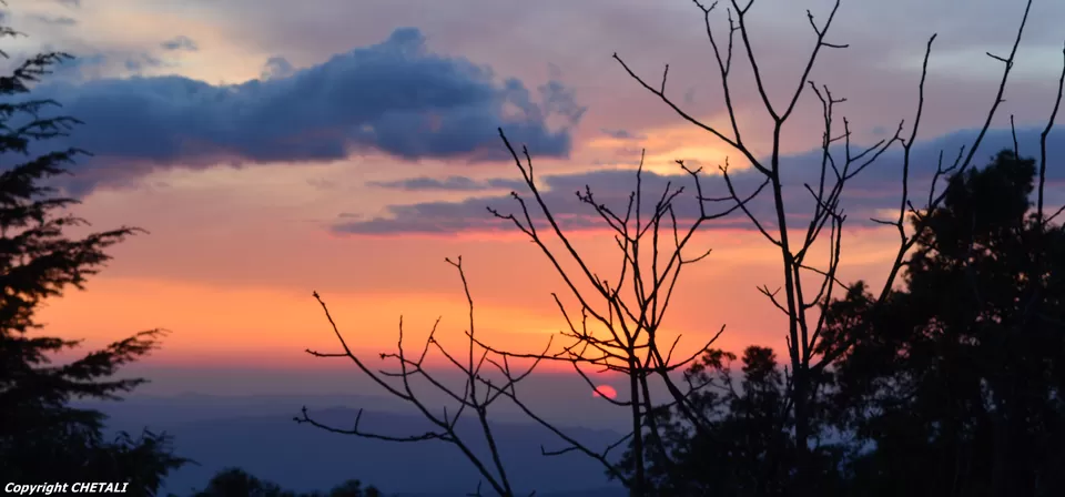 Photo of Binsar, Uttarakhand, India by Chetali Dh
