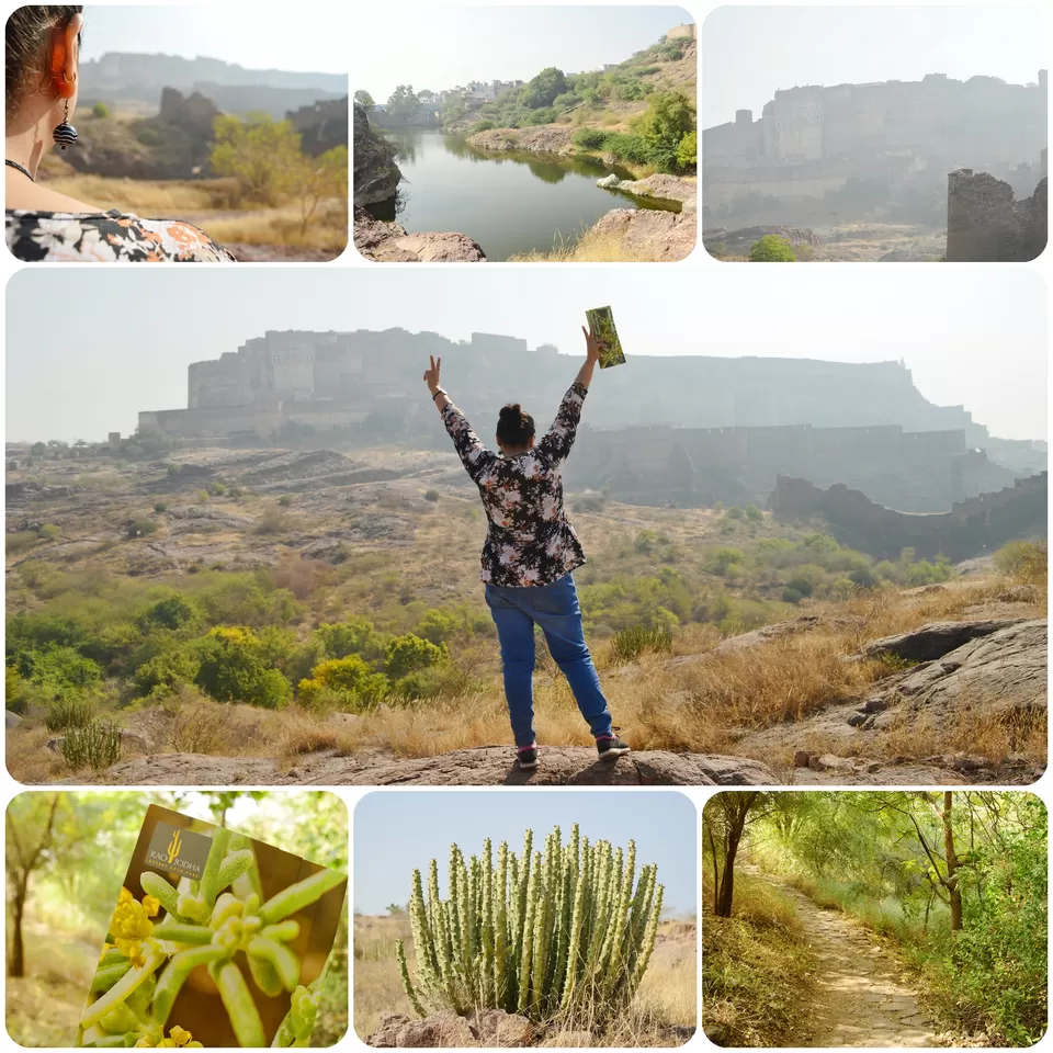Photo of Rao Jodha Desert Rock Park, Jodhpur, Rajasthan, India by Chetali Dh