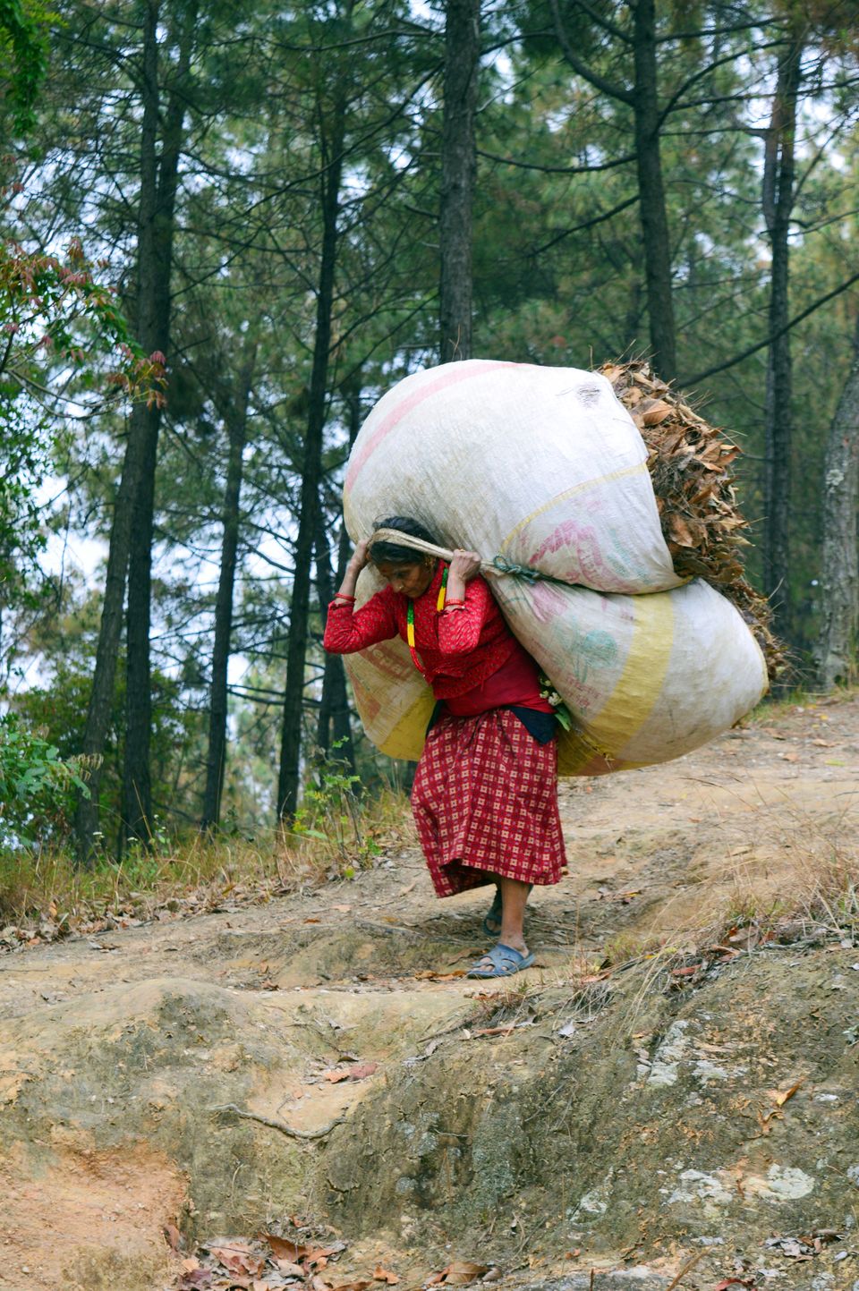 Photo of Day hike to "Changu Narayan Temple" from "Nagarkot"-Nepal by Chetali Dh