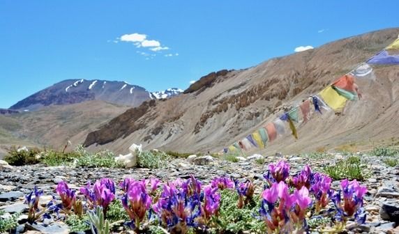 Photo of Leh Manali Highway, Palchan by Aman Mehta