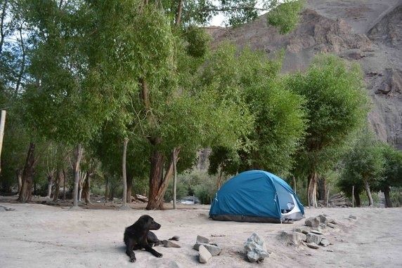 Photo of I Travelled Solo in Ladakh for 12 Days and It Changed My Life Forever by Aman Mehta