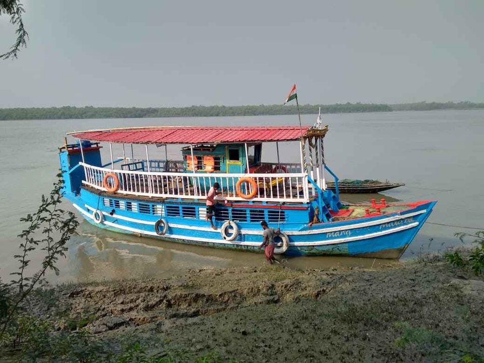 Photo of On a Quest to Spot the Fiery and Majestic Royal Bengal Tiger by Neeti Chopra