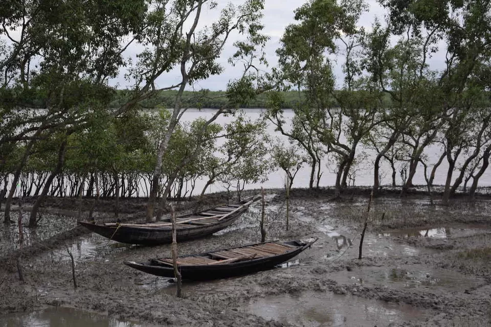 Photo of Sundarbans by Sonal Agarwal