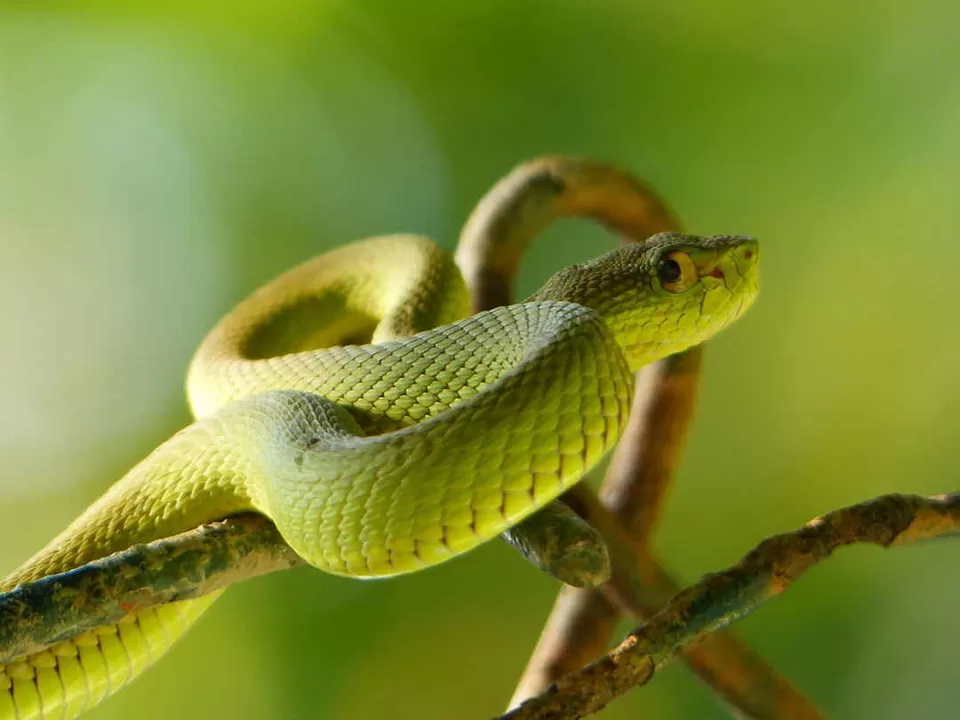 Photo of Sajnekhali Watch Tower, West Bengal, India by Sonal Agarwal