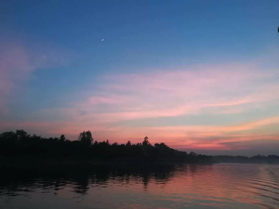 Photo of Mangrove Interpretation Centre, West Bengal, India by Sonal Agarwal