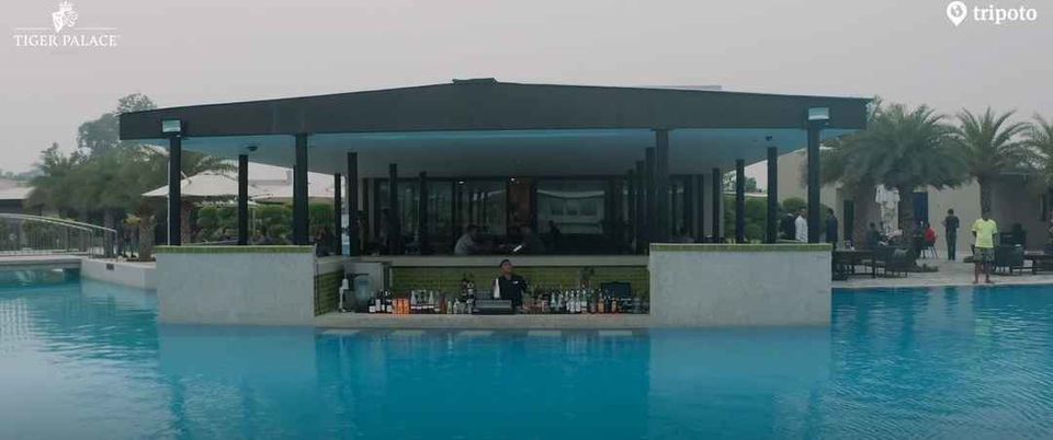 Photo of I Took An International Trip Just For A Weekend And Stumbled Upon This Stunning Resort! by Kriti Vij