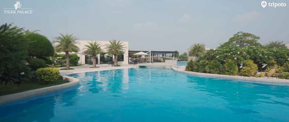 Photo of I Took An International Trip Just For A Weekend And Stumbled Upon This Stunning Resort! by Kriti Vij