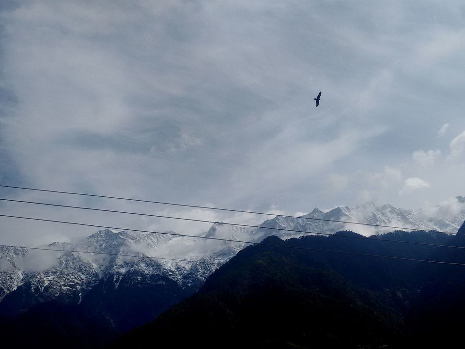 Photo of Exploring Hidden Treasures of McLeodGanj #BestOfTravel by Saumiabee