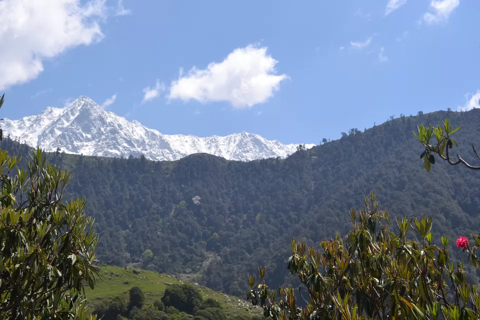 Photo of Triund Trek Trail, Trail to Triund Hill, Dharamshala, Himachal Pradesh, India by Saumiabee