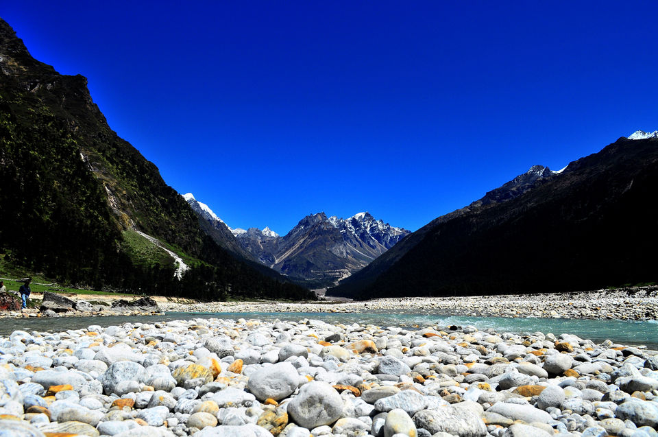 Photo of Yumthang, Sikkim, India by Saumiabee