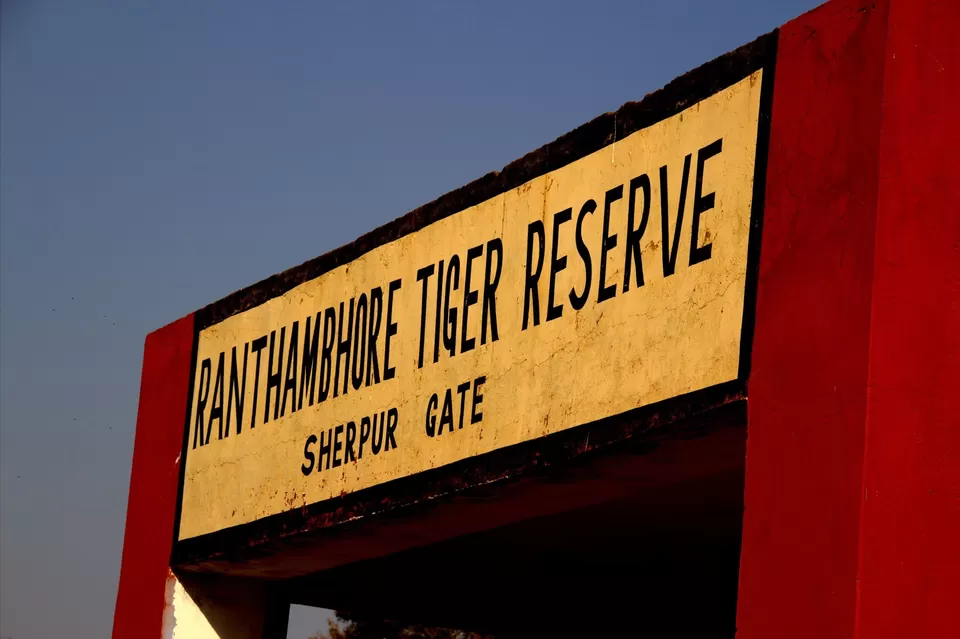 Photo of Ranthambore Tiger Reserve, Sawai Madhopur, Rajasthan, India by Saumiabee