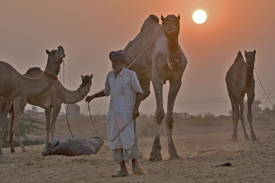 Photo of Pushkar, Rajasthan, India by Saumiabee