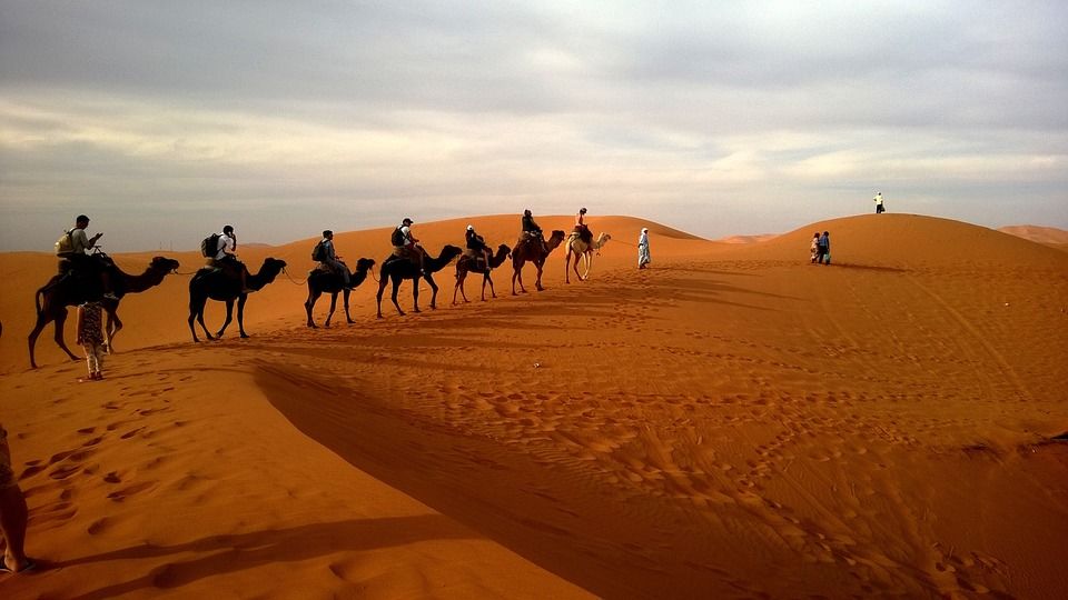 Photo of Speed Through The Thar Desert As You Take A Safari In Jaisalmer by Saumiabee