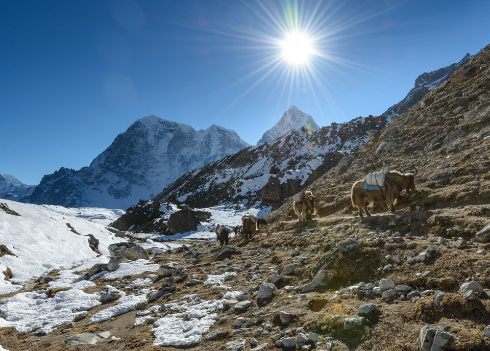 Photo of Mt Everest Base Camp Trek Pvt Ltd, Keshar Mahal Marg, Kathmandu, Nepal by Saumiabee