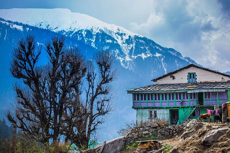 Photo of Moorang, Himachal Pradesh, India by Saumiabee