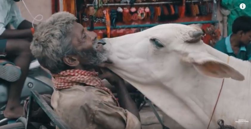 Photo of This Moroccan Traveller Showcased India in 11 Minutes and The Video Is Giving Us Major Travel Goals! 5/8 by Saumiabee